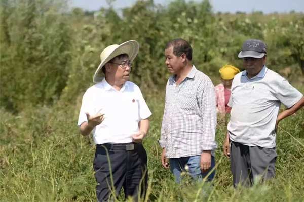 йtyc41183̫()޹˾-ٷվ