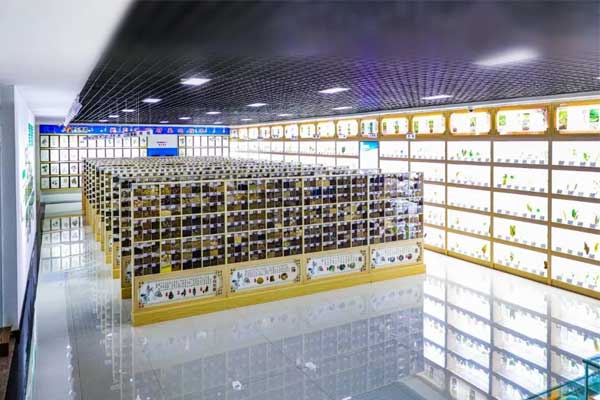 tyc41183̫ɼſƼвҩ걾