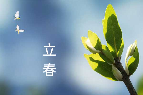 �й���tyc41183̫����(����)���޹�˾-�ٷ���վ