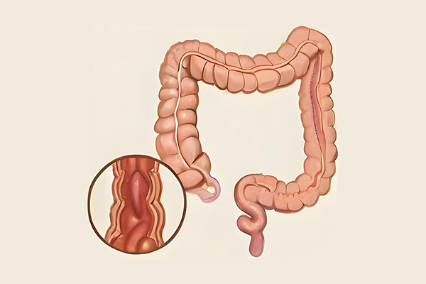 йtyc41183̫()޹˾-ٷվ