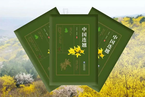 йtyc41183̫()޹˾-ٷվ