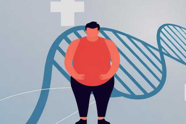 йtyc41183̫()޹˾-ٷվ