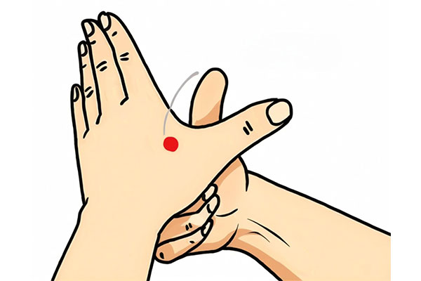 йtyc41183̫()޹˾-ٷվ