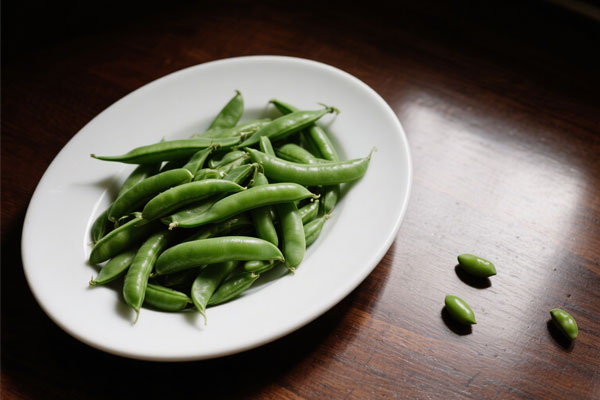 йtyc41183̫()޹˾-ٷվ