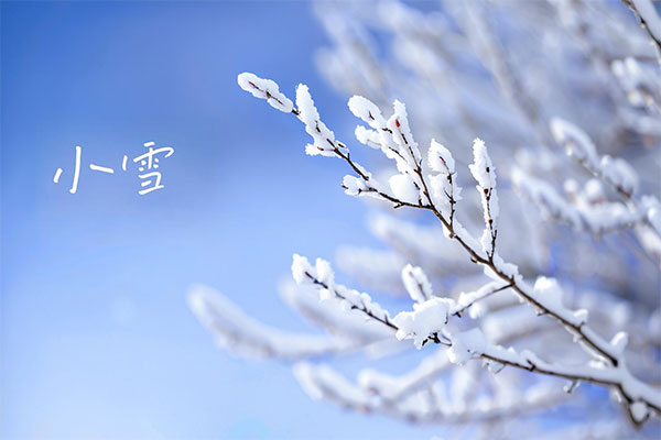�й���tyc41183̫����(����)���޹�˾-�ٷ���վ