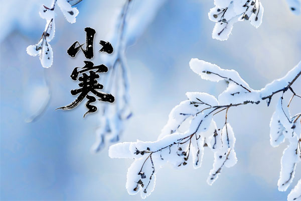 �й���tyc41183̫����(����)���޹�˾-�ٷ���վ