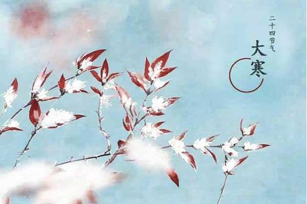 �й���tyc41183̫����(����)���޹�˾-�ٷ���վ